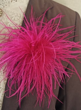 2026新款欧美复古鸵鸟毛羽毛胸花别针男女装饰礼服配饰派对胸针