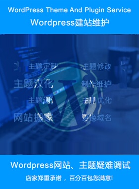 wp独立站外贸网站制作Wordpress主题模板 宝塔安装 调试优化