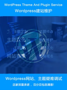 wp独立站外贸网站制作Wordpress主题模板 宝塔安装 调试优化
