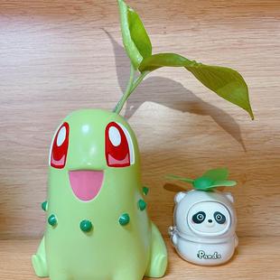宝可梦菊草叶走路草花盆可水培毽子花宝可梦系列花盆