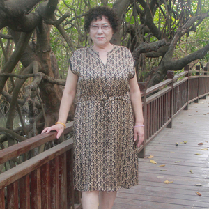夏季真丝印花胖妈妈款短袖连衣裙加肥大码中老年宽松洋气显瘦裙子