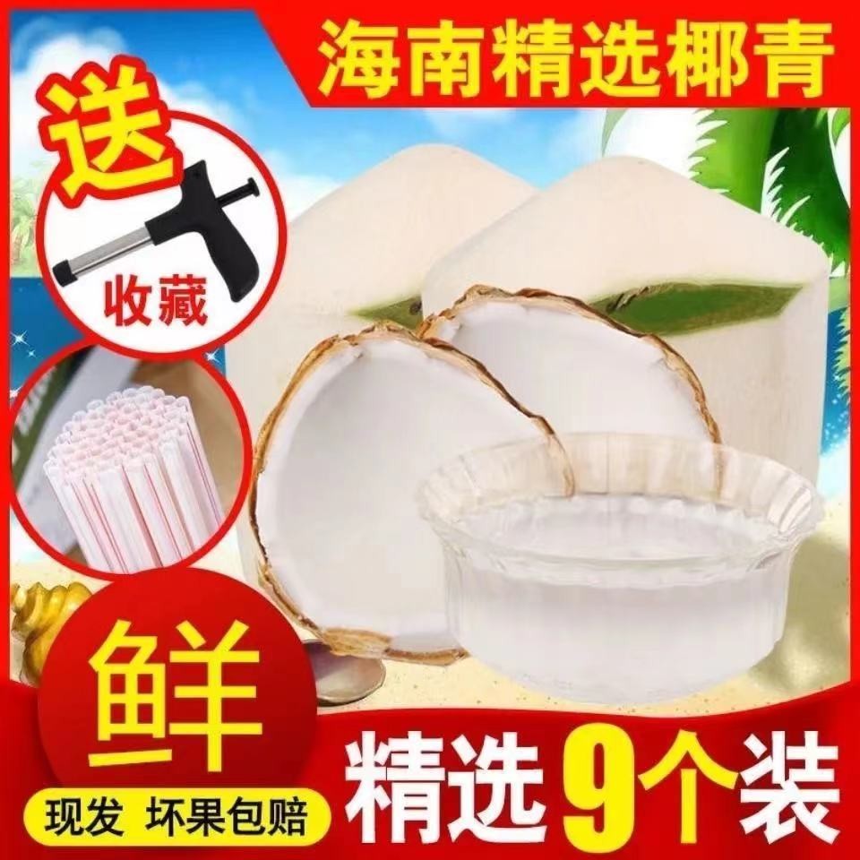 海南椰青孕妇小孩的纯天然椰子水九个装特产热带水果包邮