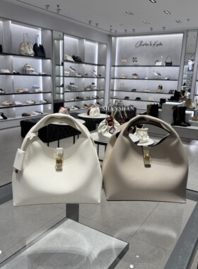 【珊珊家不退换】CHARLES&KEITH手提CK2-10701618简约菜篮子包