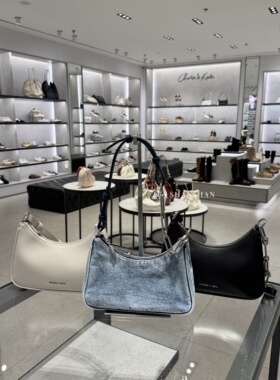 【珊珊家不退换】CHARLES&KEITH链条腋下包CK2-20271604牛仔