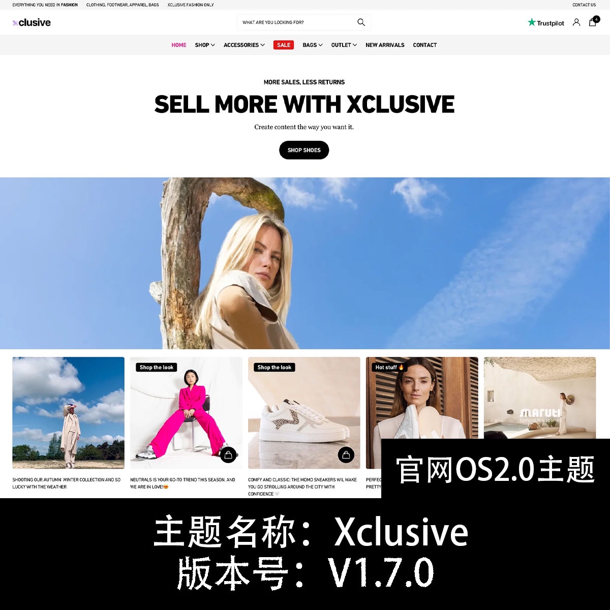 Xclusive主题模板官网最新版本os2.0购买送百余个模块做网页丰富 商务/设计服务 设计素材/源文件 原图主图