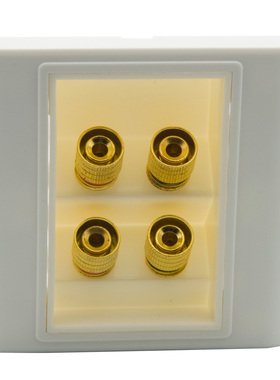 86型 欧式 功放插座 2.0音箱面板