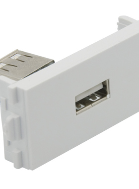 单口 USB 2.0母对母直插式模块