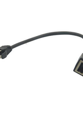 网络公对母延长线 30CM长