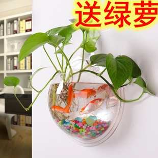 学校幼儿园托儿所咖啡厅用酒吧专用壁挂鱼缸墙上养绿萝公司办公室