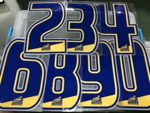 2005-14 年度 英格蘭甲組聯賽 原裝球員版數字 藍字金邊