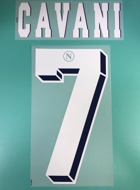 2012-13 年度 NAPOLI 拿不勒斯 主場 原裝印號  CAVANI CANNAVARO