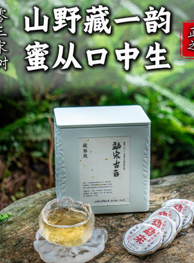 藏春岚2023年云南勐宋古树白茶玲珑饼 高山白茶两罐装504克84片