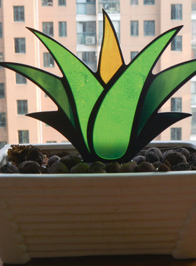 太阳捕手Stained Glass龙舌兰芦荟亚克力盆栽植物摆件防水装饰