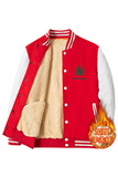 2020年冬季青春宽松衣服棒球服运动休闲加绒加厚A163-BP386-P65，男装卫衣，星座211-1