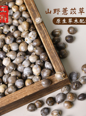 天然满愿种子草菩提散珠已打孔DIY包包挂件手链手工编织配珠原料