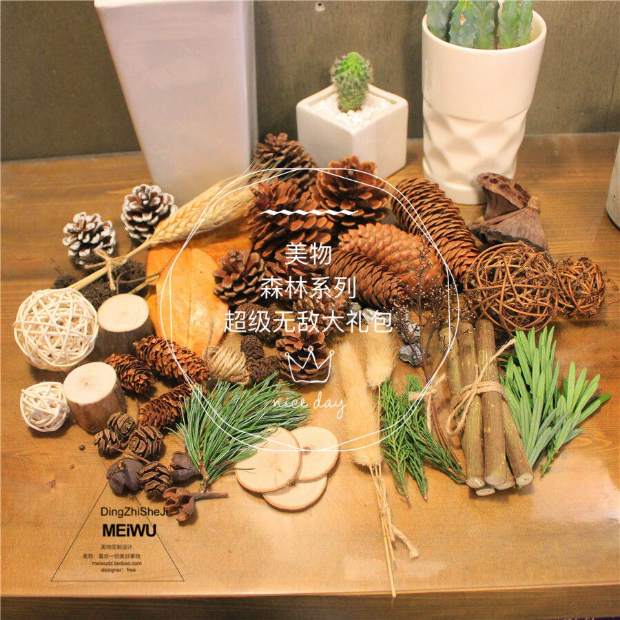 美物diy森林制作组合原木片松果