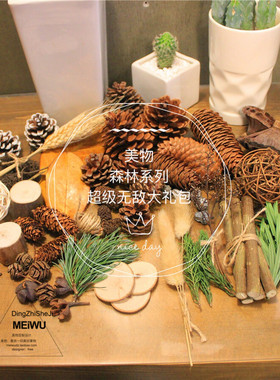 美物diy森林制作组合原木片松果