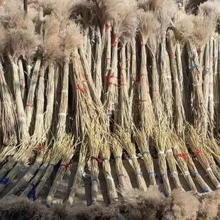 红草干花拂尘蒲苇装饰婚庆装饰拍摄道具田园摆件文艺纯天然插花