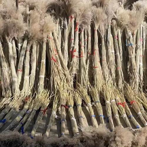 纯天然红草干花家居装饰品插花