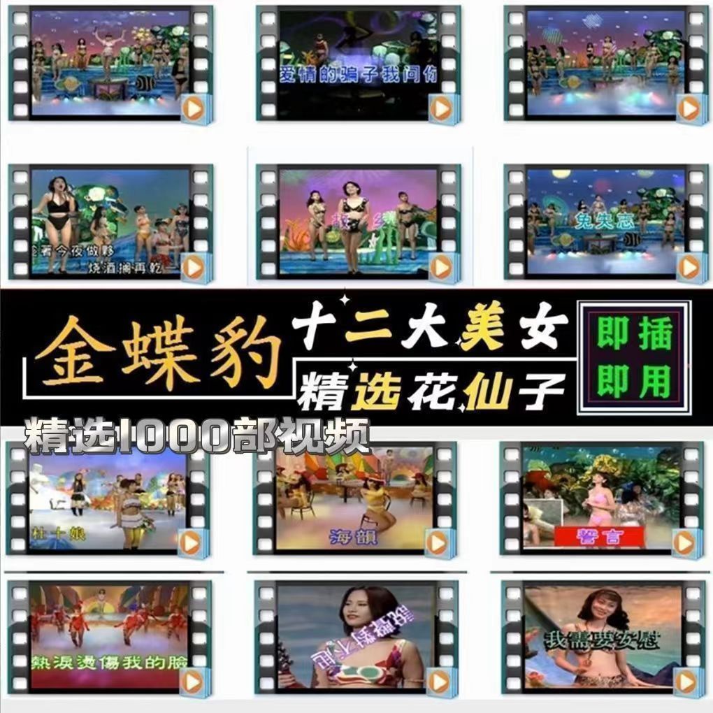 十二大美女歌曲U盘闽南语台语车载优U盘经典老歌花仙子全视频