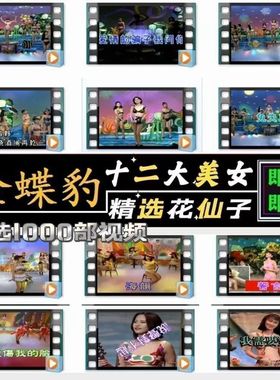 十二大美女歌曲U盘闽南语台语车载优U盘经典老歌花仙子全视频