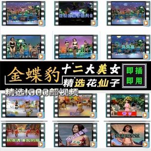 十二大美女歌曲U盘闽南语台语车载优U盘经典老歌花仙子全视频