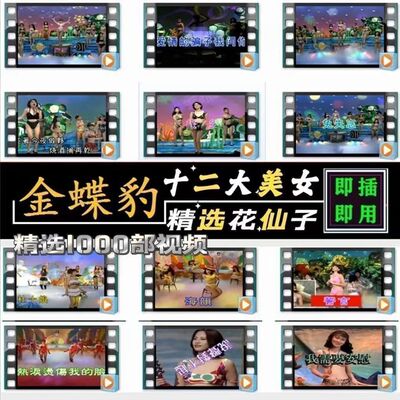 十二大美女歌曲U盘闽南语台语车载优U盘经典老歌花仙子全视频
