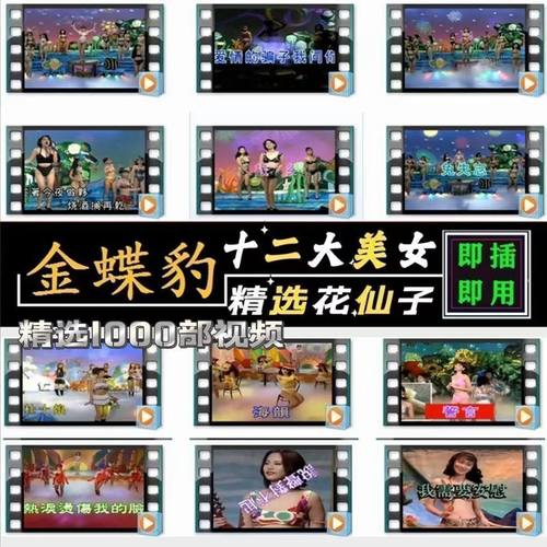 十二大美女歌曲U盘闽南语台语车载优U盘经典老歌花仙子全视频