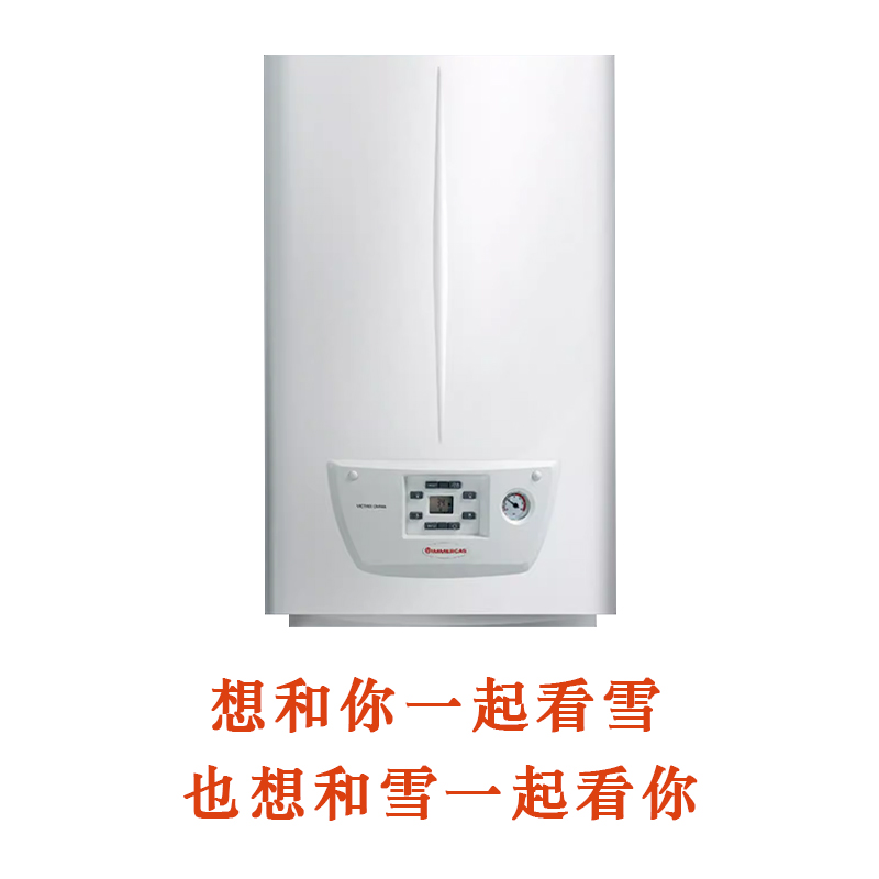 IMMERGAS意大利依玛冷凝壁挂炉25kw原装进口欧拉热水采暖两用锅炉