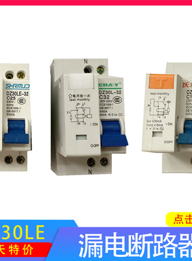 DZ30LE双线漏电断路器DPNLE漏电闸刀两位漏电开关
