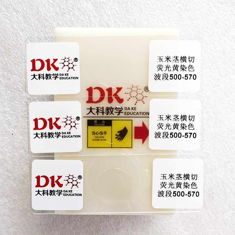 大科教学荧光显微玻片 玉米茎横切 使用波段500-700 荧光显微镜用