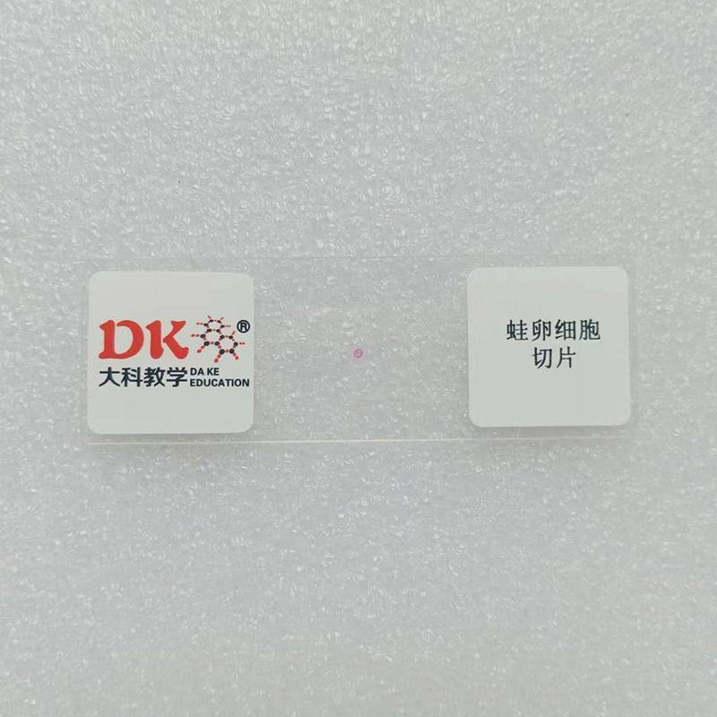 蛙卵细胞切片 10片/盒 生物切片 玻片标本 中小学专用,文具电教/文化用品/商务用品,教学仪器/实验器材,淘宝优惠券,粉丝福利购,淘宝优惠卷