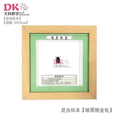 大科教学动物标本昆虫