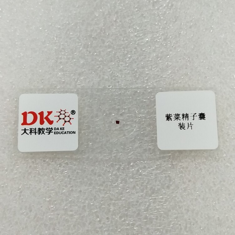 生产厂家显微镜玻片 植物标本 紫菜精子囊装片,文具电教/文化用品/商务用品,教学仪器/实验器材,淘宝优惠券,粉丝福利购,淘宝优惠卷