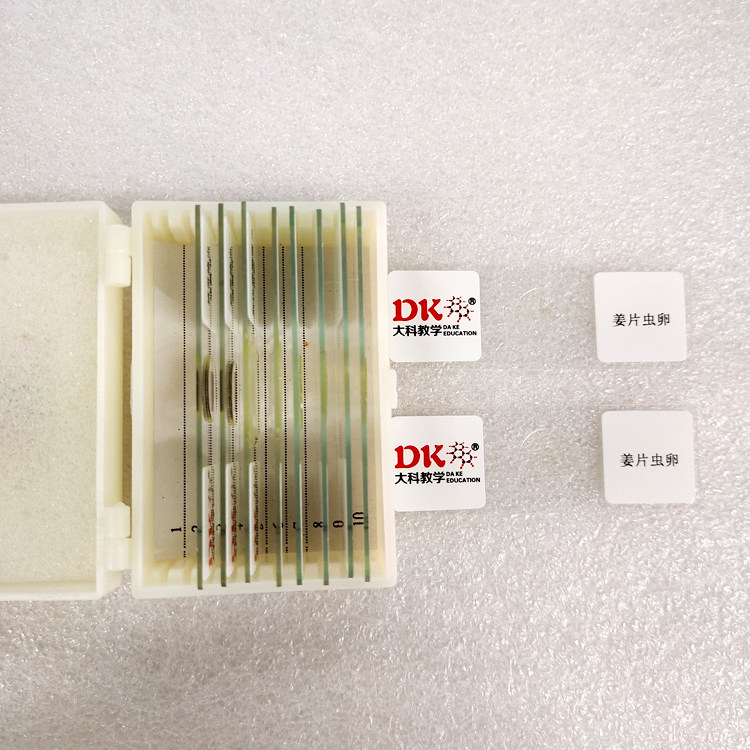 厂家直销高校教学标本 寄生虫类玻片标本 姜片虫卵(自然色)