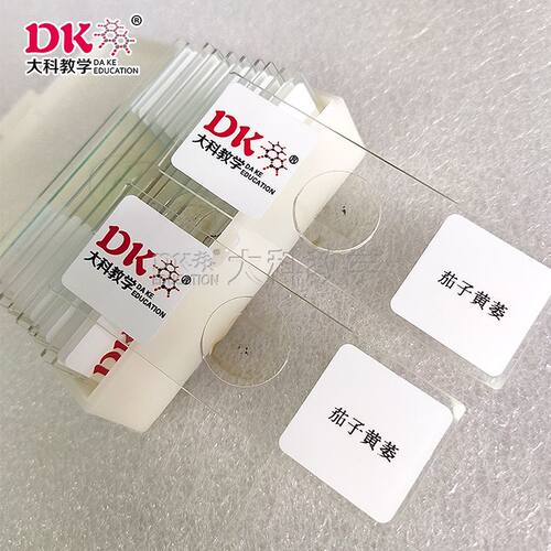 大科教学 植物病理  高等教学显微玻片 茄子黄萎 生物切片标本