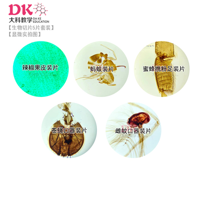 动植物5种混合生物切片套装 玻片标本 中小学普教教学 兴趣爱好
