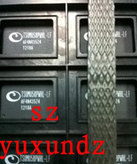 一个（直拍）TSUM16AWL-LF 全新原装 液晶芯片 以实物为准