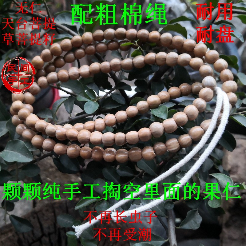 黄色草珠子无果仁草菩提