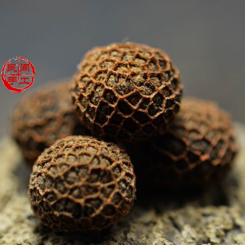袈裟菩提子 雷果菩提 紫金钵盂 日进斗金 龙鳞凤爪菩提 金刚凤眼