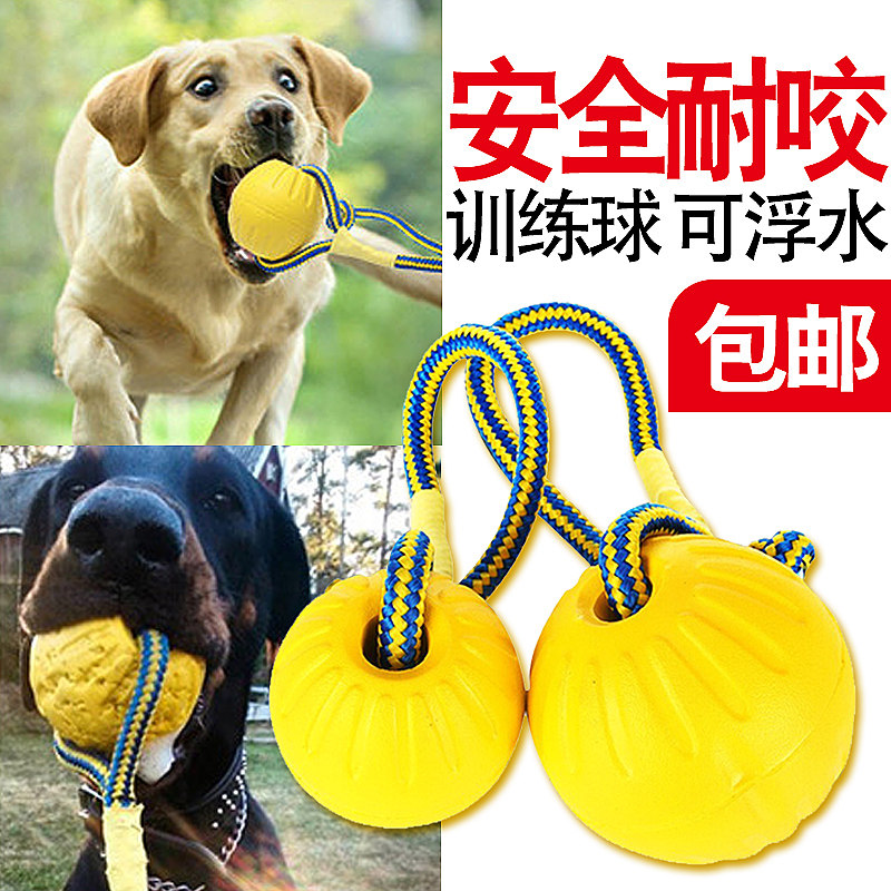 狗狗玩具耐咬实心玩具球金毛马犬德牧宠物训练球带绳大型犬宠物球在类目 宠物/宠物食品及用品, 猫/狗玩具, 橡胶球/球形玩具中 - 来自Buy2taobao.com提供专业的淘宝代购服务