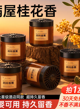 WITCEMEY卫车美厕所专用