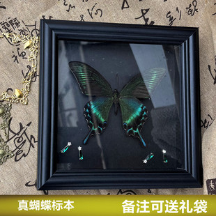绿带翠凤蝶真蝴蝶标本相框摆件装饰画成品生日礼物送男女朋友情人