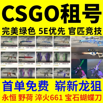CSGO租号CS2完官匹优先竞技美5E龙狙树篱潘多拉野荷661淬火宝石刀
