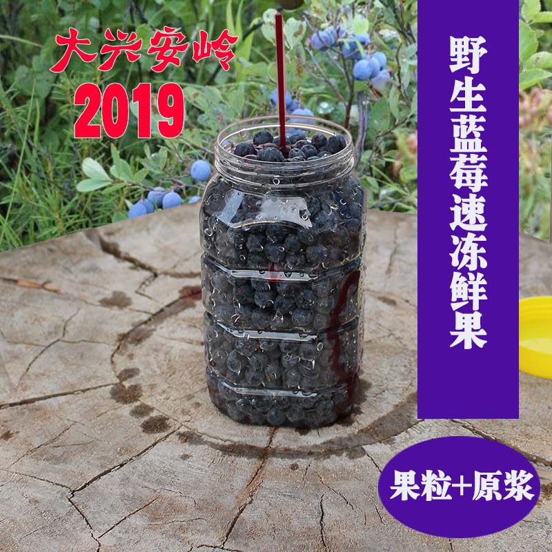 Daxinganling 2019 wild Blueberry Quick-freeze Fresh fruit Sugar fruit juicein the Snacks/Nuts/Specialty , Confection/Class dates/Plum/Dried fruit , Blueberries  category - from Buy2taobao.com to provide professional Taobao agent buy service