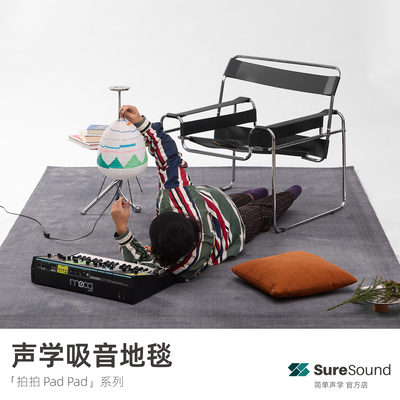 吸音声学地毯简单声学烁声