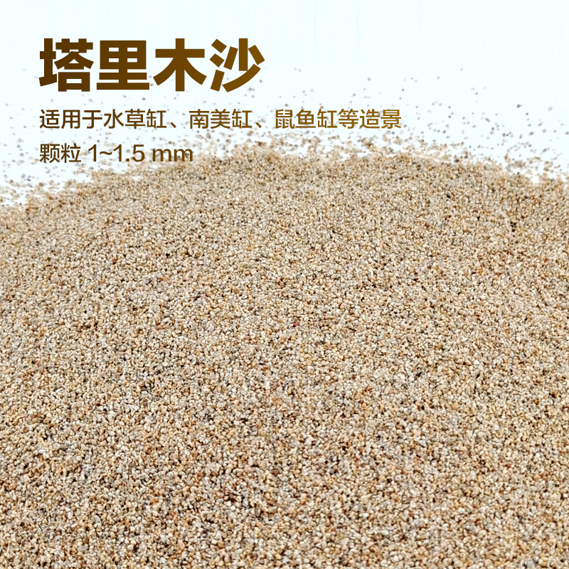 鱼缸底沙墨鱼装饰草缸