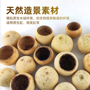 鱼缸造景素材木橘果壳南美缸原生缸溪流缸乌龟缸树叶造景躲避装饰