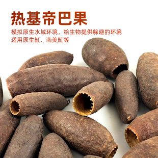 鱼缸造景素材热基帝巴果南美原生溪流乌龟缸树叶果壳底床躲避装饰