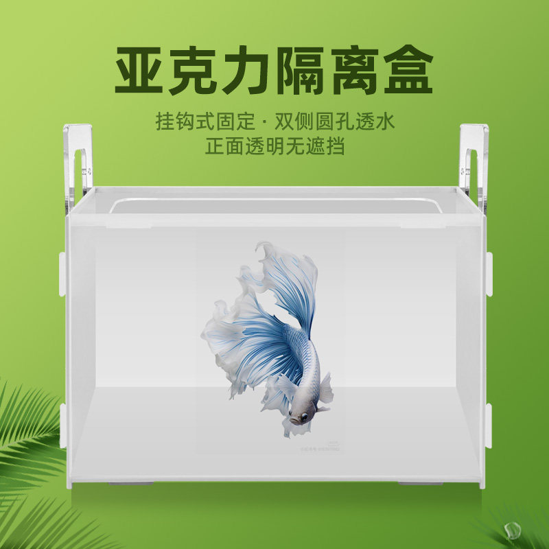 鱼缸观赏盒隔离盒亚克力黑色白色孵化盒水族小鱼隔离饲养鱼苗繁殖